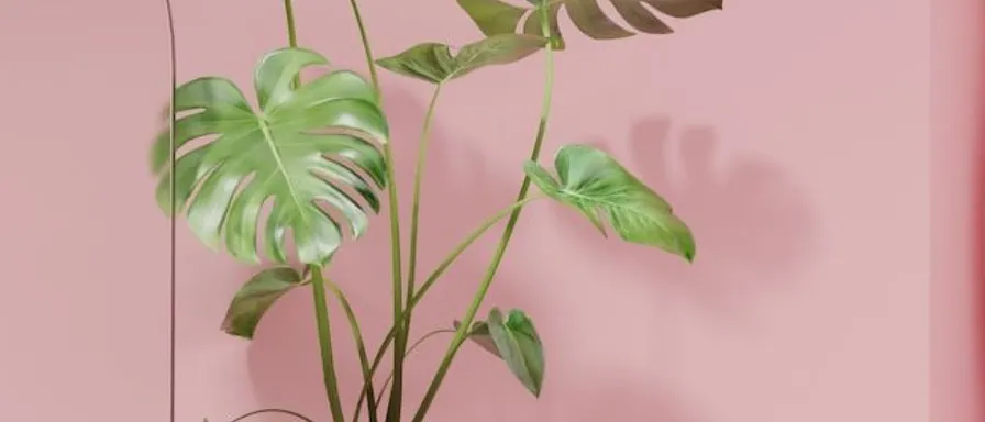 Revolutionizing Customer Engagement